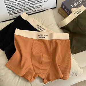 95% CottonAntibacterial Teenager Underwear Boy Shorts Men’s Underwear