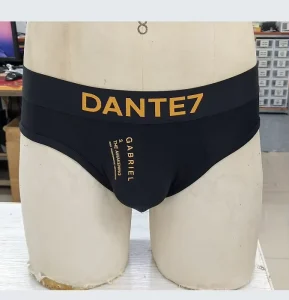 Custom Logo Fast Dry Printing Swimming Sexy Private Label Men’s Swim Swimwear Brief Men