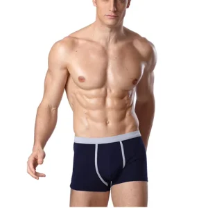 Custom logo Male Blank Plain Mens Underwear Transparent Sexy Men Briefs Underwear