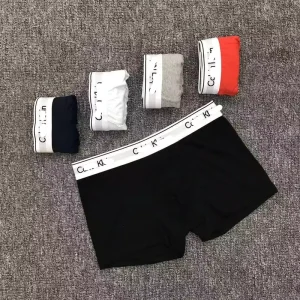 Luxury Design Underwear Plus Size Boxers Briefs for Men Plus Size Designer BOXERS Sexy Underwear for Men