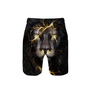 Manufacture Custom Mens 3D Printing Logo Elastic Waist 100% Polyester Quick Dry Vacation Holiday Board Mens Beach Swim Shorts