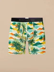 Mens Colorful Trunks Short Leg Boxer Briefs Man Shorts Men No Ride Up No Fly Mens Underwear Factory Oem Odm