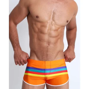 Men’s Swim Trunks Beach Pants Surfing Bathing Suit Surfboard Sexy Rainbow Pride Strips Swimwear Pad Push up Swimming Swimsuits