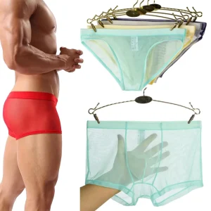 Mens Thin Mesh Boxers Briefs See Through Trunks Transparent Lounge Underwear Japanese Korean Shorts Sheer Lingerie