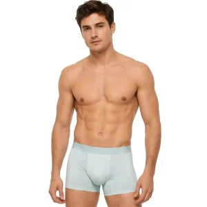 ODM&OEM Men’s Ice Silk Boxer Briefs Seamless Breathable Anti Bacterial Cooling Underwear Soft Stretch Boxer Shorts
