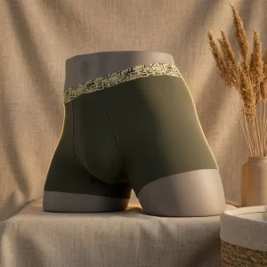 Seamless Modal Men’s Underwear with Mulberry Silk Crotch Anti bacterial Printed Waistband Boxer Briefs OEM Custom