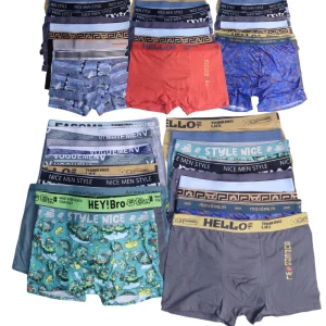 Stock Men’s Boxer Briefs Cotton Ice Silk Mixed Styles Sizes Solid Printed Version Underwear for Man