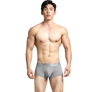 Xibin Men’s Low Waist Underwear Four Corners Knitted Woven Fabric SEOBean Manufacturers for Foreign Trade Boys