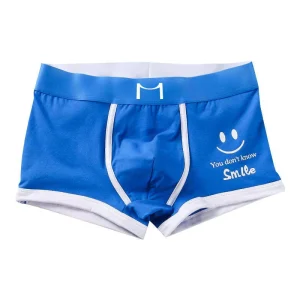 Young Men’s Comfortable Breathable Cotton Low Rise Underwear with Custom Logo Sexy Trendy